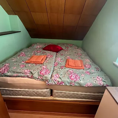 Гостевой дом Cvetlicni Vrt Радовлица