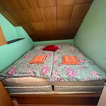 Cvetlicni Vrt بيت ضيافة