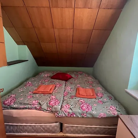 Cvetlicni Vrt Радовлица