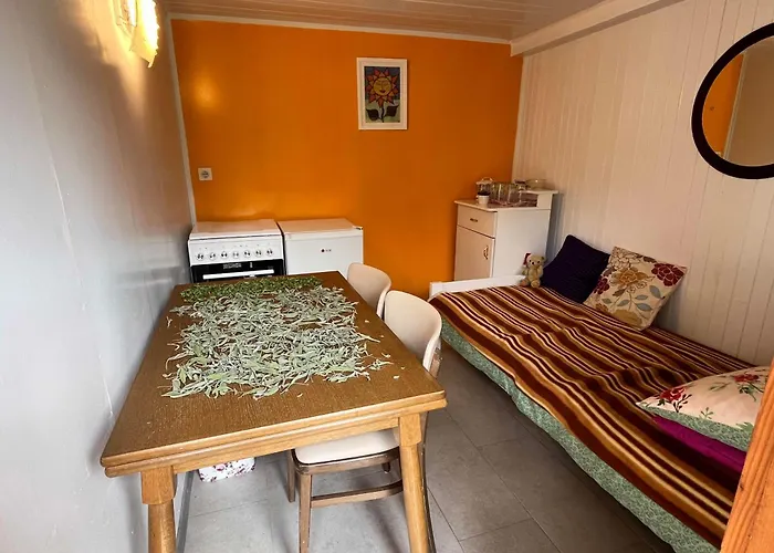 Cvetlicni Vrt * Radovljica