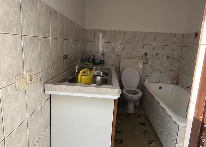 Πανσιόν Cvetlicni Vrt *